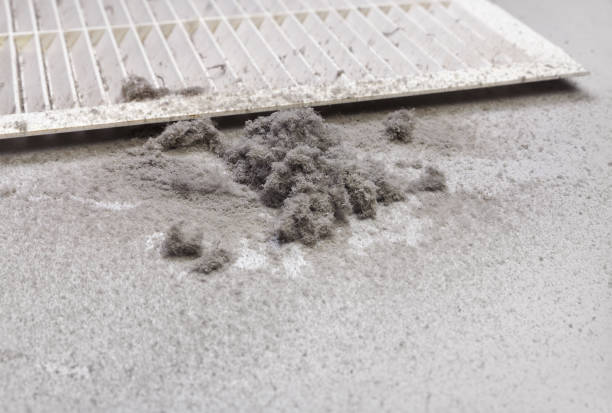 Best Affordable Air Duct Cleaning  in Sugar Grove, IL