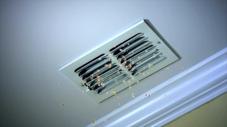 Best Commercial HVAC Duct Cleaning  in Sugar Grove, IL