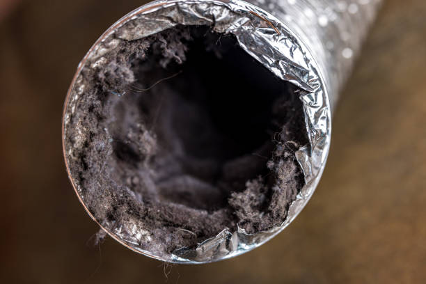 Best Air Duct Cleaning Near Me  in Sugar Grove, IL